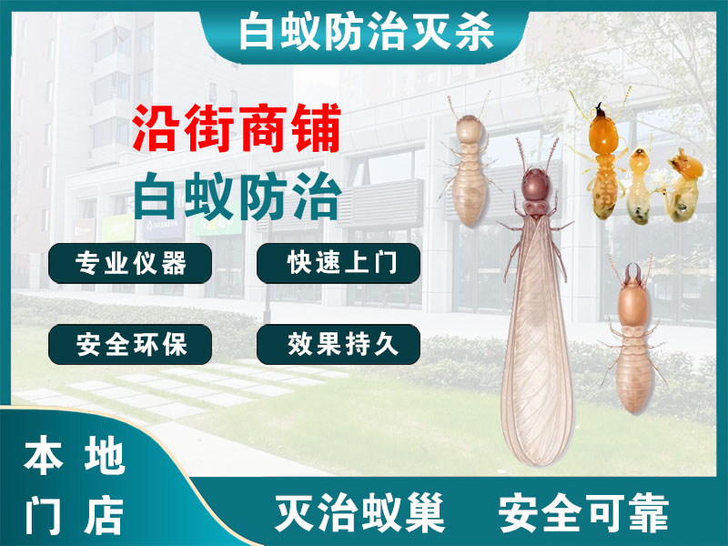 江都沿街商铺白蚁防治