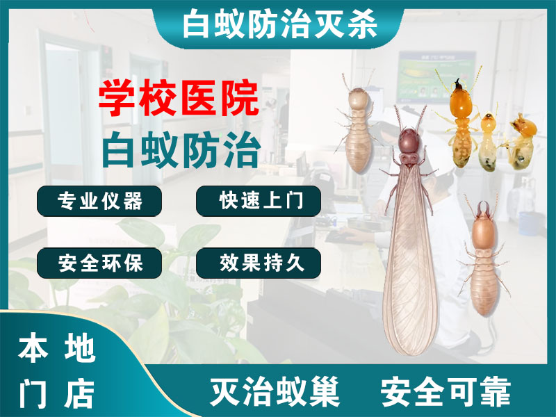 江都学校医院白蚁防治