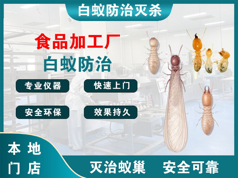 江都食品加工厂白蚁防治