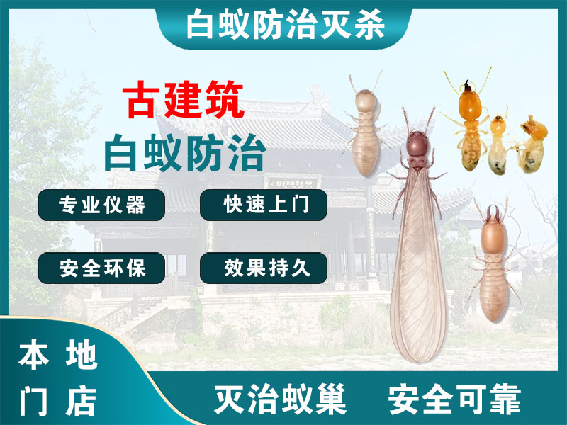 江都古建筑白蚁防治