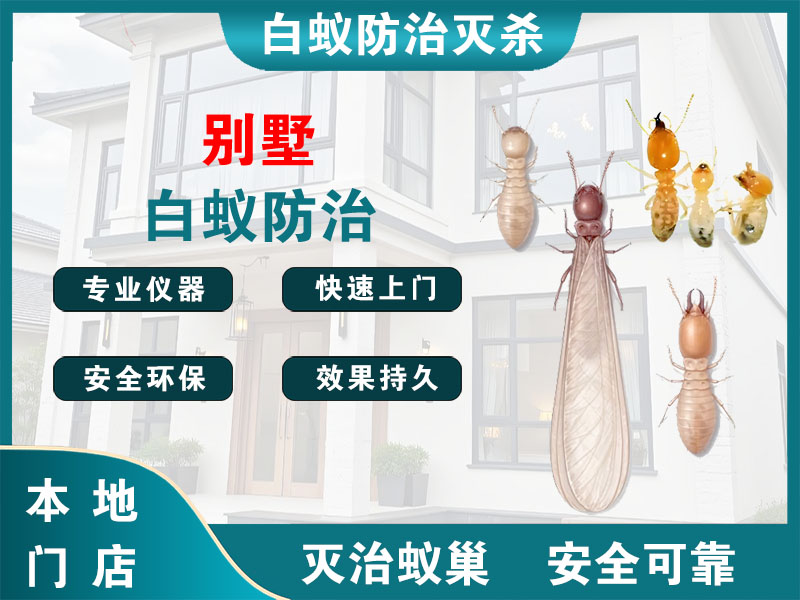 江都别墅白蚁防治